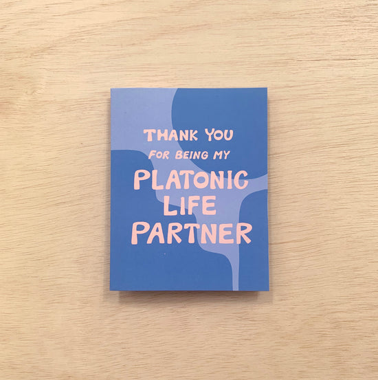 Platonic Life Partner