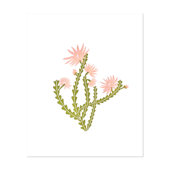 Orchid Cactus print - color