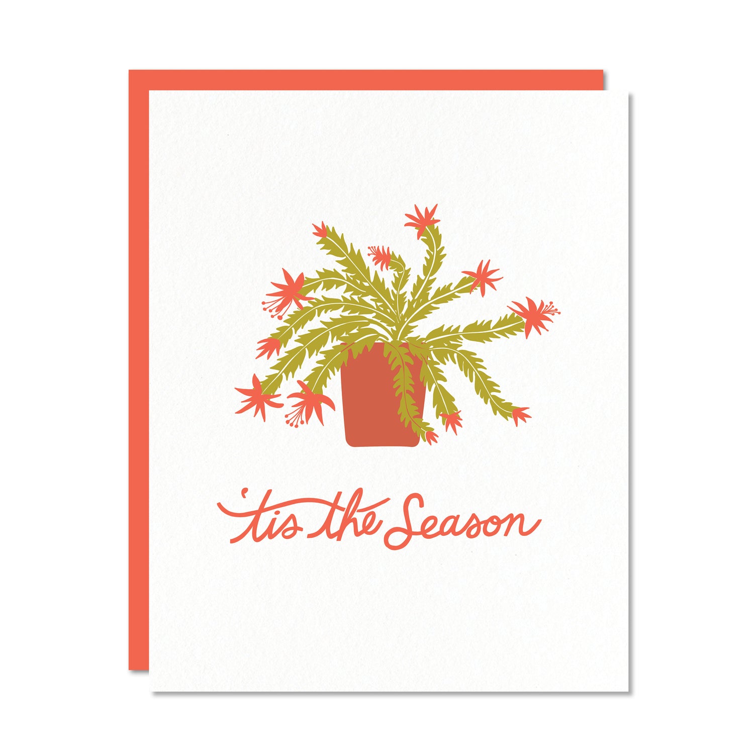 Holiday greeting card with a red envelope. Illustration of a Christmas cactus. Hand lettered text reads tis the season in red.