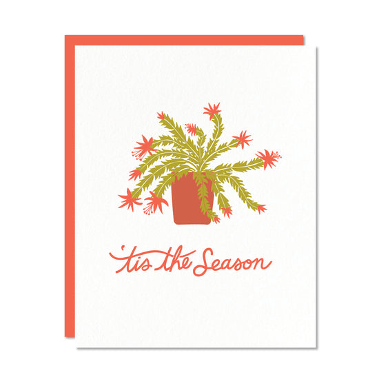 Holiday greeting card with a red envelope. Illustration of a Christmas cactus. Hand lettered text reads tis the season in red.