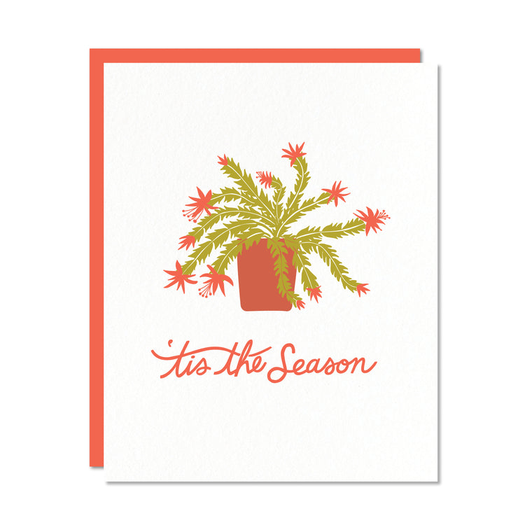 Holiday greeting card with a red envelope. Illustration of a Christmas cactus. Hand lettered text reads tis the season in red. 