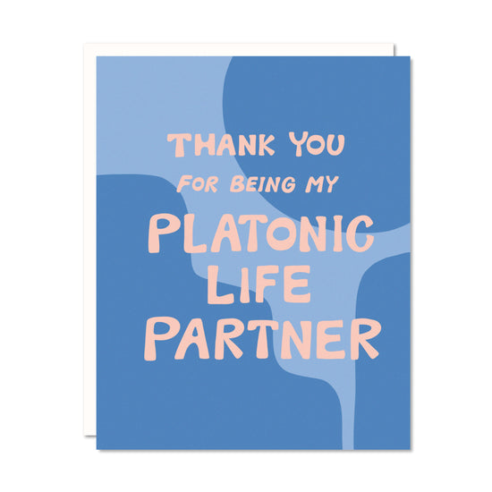 Platonic Life Partner