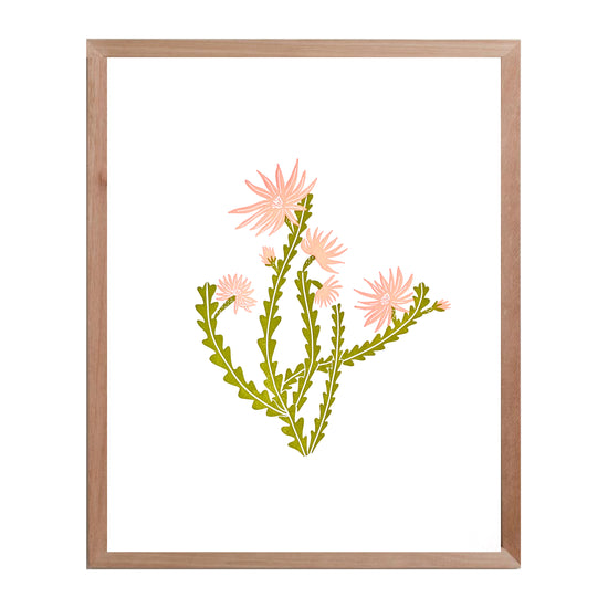 Orchid Cactus print - color