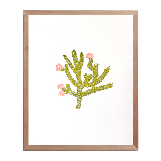 Cholla Cactus print - color