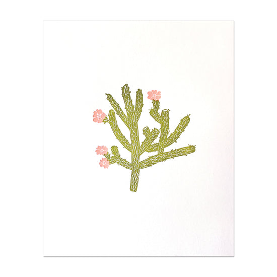 Cholla Cactus print - color