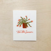 Photo of holiday greeting card. Illustration of a Christmas cactus. Hand lettered text reads tis the season in red. 